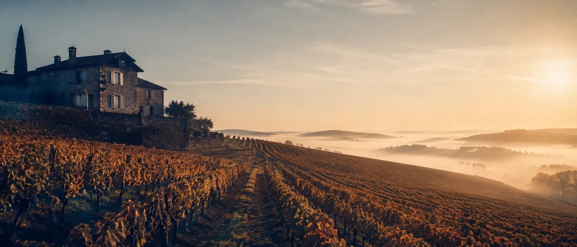 Svenska vinmarknaden 2026, siffror, trender och vad de betyder